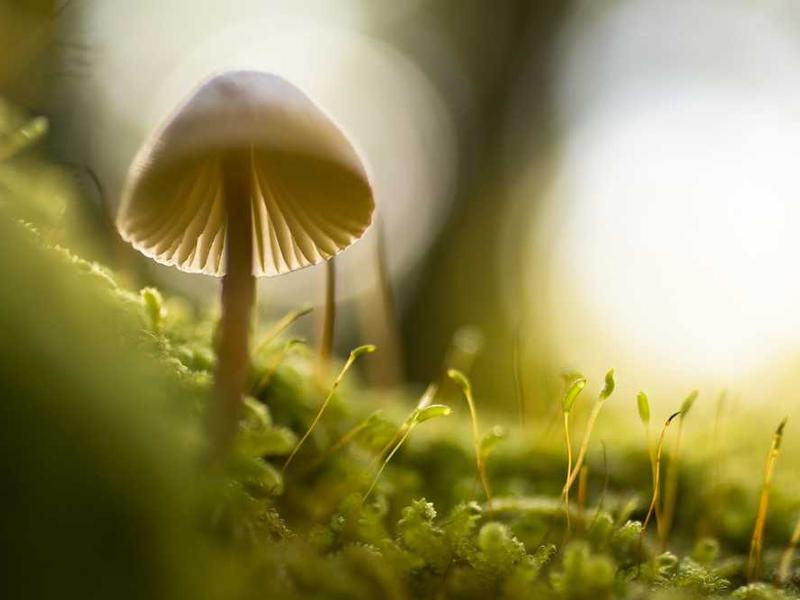 Customer Segmentation and Buyer Persona Analysis